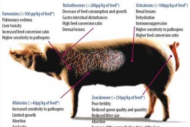 Fighting the inodorous, invisible killer