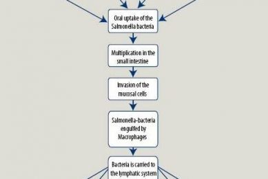 Nutritional approaches to controlling Salmonella