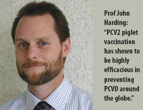 PCV2 vaccination changing the pig industry