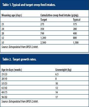 What the textbooks don’t tell you about…Creep feeding (1)