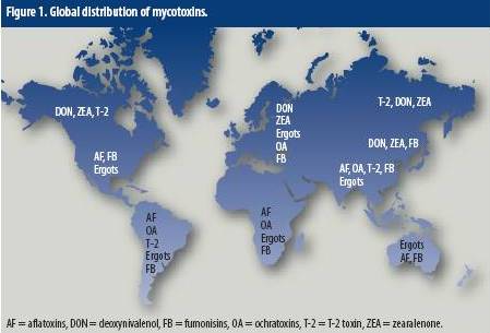 More awareness of mycotoxins Part 2. Current thoughts on global mycotoxicoses in pigs