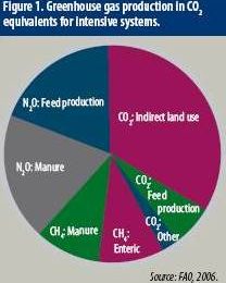 How to be more sustainable in pig production?