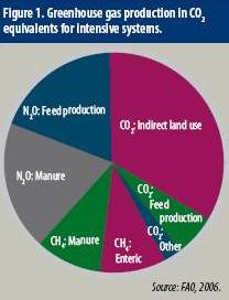 How to be more sustainable in pig production?