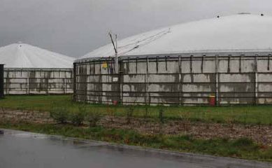 Biogas gains ground on Danish and Austrian pig farms