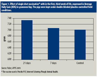 Why viraemia matters: The PCV2 debate continues