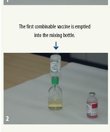 PCV2 vaccination changing  the pig industry – Part 4. What should be considered when mixing vaccines? Experiences in the US market