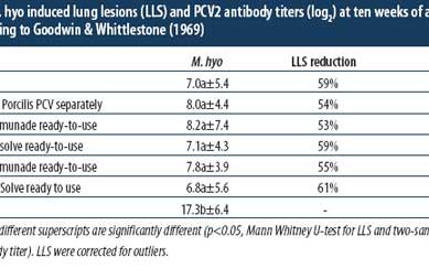 One-dose vaccination against M. hyo and PCV2