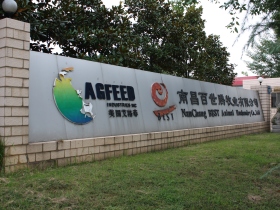 AGFEED, China, part I: Nanchang Best Animal Husbandry Company