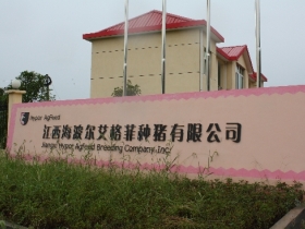 AGFEED, China, part III: Jiangxi Hypor Agfeed Breeding Company