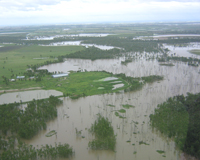 Australian floods affect piggeries, causing isolation