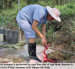 Highly pathogenic PRRS in China:  From outbreak to control