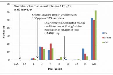 Medicated feed premixes – is carryover in feed really a problem?