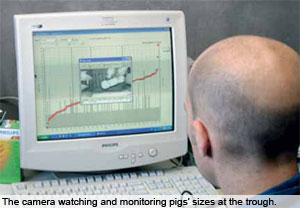 Precision Livestock Farming – the way forward