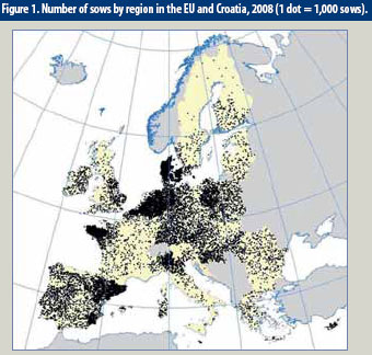 European pig markets migrate
