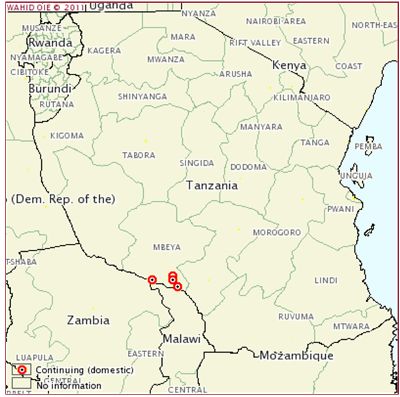 More African Swine Fever outbreaks in southern Tanzania