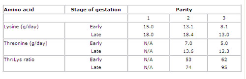 New amino acid requirements for gestation sows