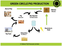 Megafarm proposed for Derbyshire UK