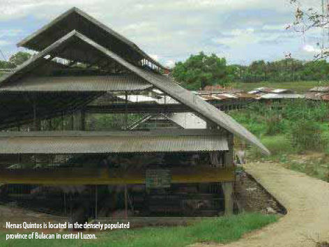 Philippine pig farms stepping up biosecurity
