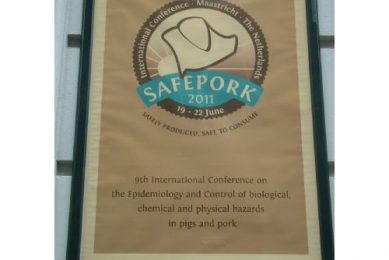 SAFEPORK 2011: The Netherlands