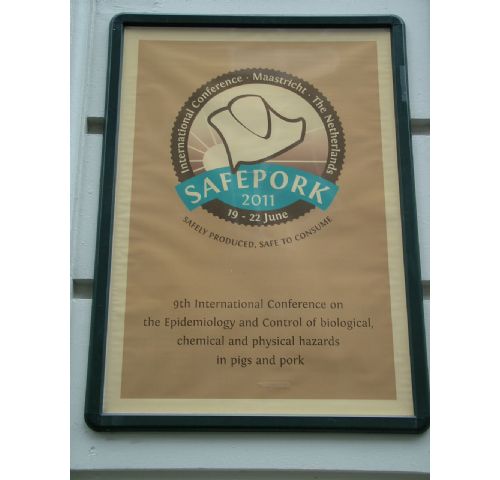 SAFEPORK 2011: The Netherlands