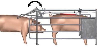 Egebjerg introduces extra security for group housed sows