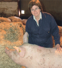 The Two-Tonne Sow: Britain’s aim to reacht he EU level
