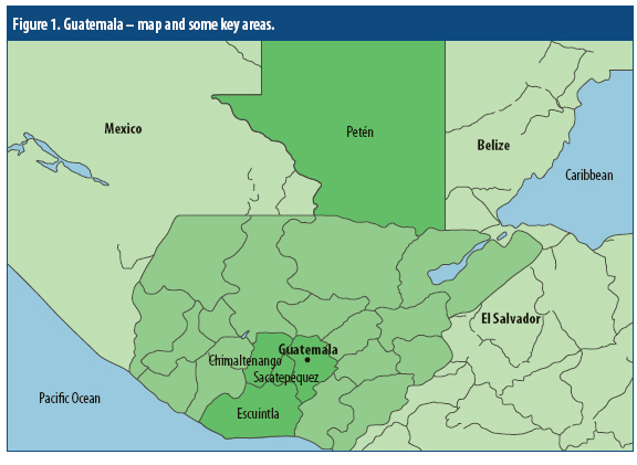 Guatemala: Swine farming tackles challenges