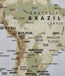 Pig health issues: Overview of Latin America