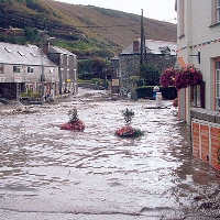 UK: floods cause lack of water for pigs