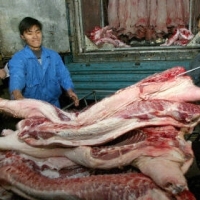 China: more measures to boost pig farming