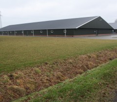 Dutch restrict maximum pig house building size
