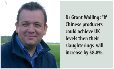 Revolutionising global pork production