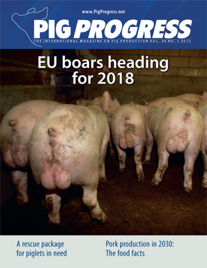 MAGAZINE: Piglet castration is hard to end – Perspectives for 2030