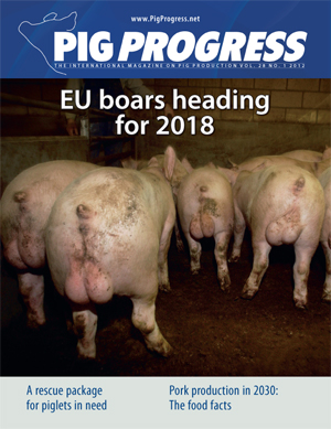 MAGAZINE: Piglet castration is hard to end – Perspectives for 2030