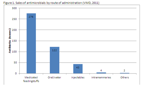 Conflicts of interest – should vets dispense medicines?