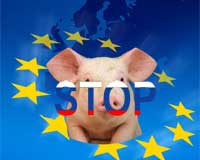 EU criticises Russia’s pig import ban