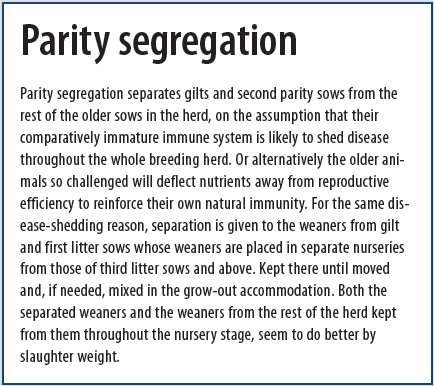 What the textbooks don’t tell you about…Backtracking by rats and flies