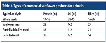 In the spotlight: Less known protein sources for pigs