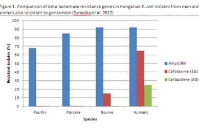 More on antimicrobial resistance – sorry!