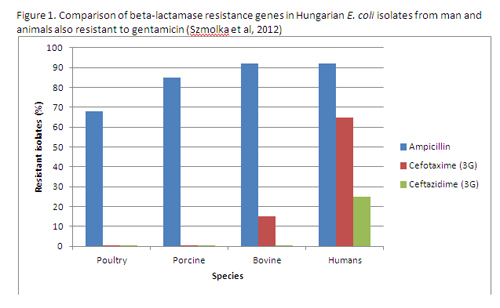 More on antimicrobial resistance – sorry!