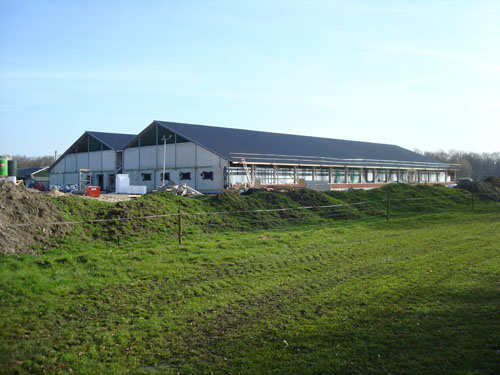 Dutch to open three layer breeding sow house