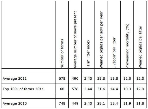 TOPIGS raises bar to 28.8 weaned piglets per year