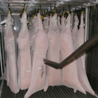 China rejects pork imports from N-America