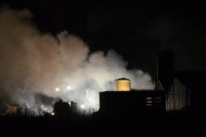 Blazes destroy two pig farms in east of the Netherlands