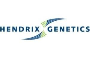 Hendrix Genetics opens pig Genomics lab in France