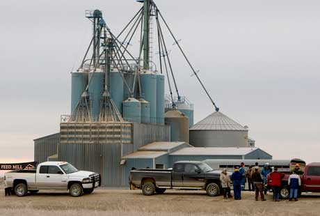 Feed costs push Canada’s Big Sky Farms pig farm into receivership