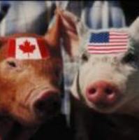 Canadian pork sector opposes US