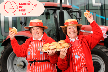 Ladies In Pigs win top honour in British pig industry