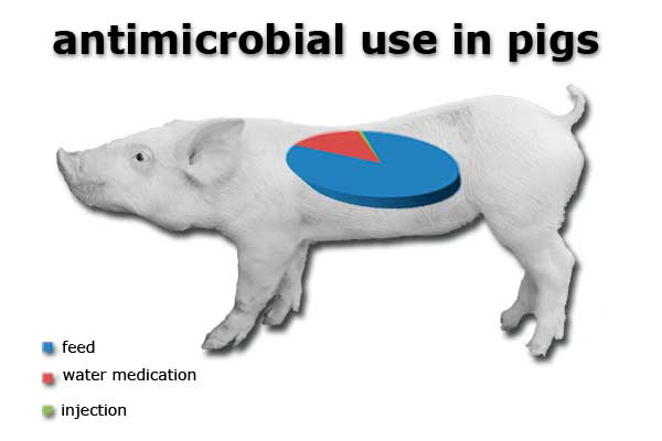 BLOG: Antibiotic surveys and their significance?