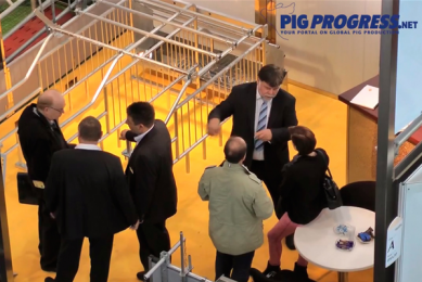 VIDEO: EuroTier 2014 – from a pig’s perpective